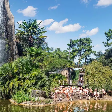 Awesome Stacaravan In Saint-georges-de-didon Hotel Saint-Georges-de-Didonne
